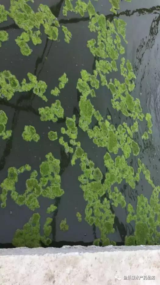 ph值3是什么,ph值三合一土壤检测仪