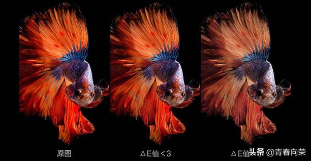 aocu27dp4k显示器选购指南,nanoips显示器选购