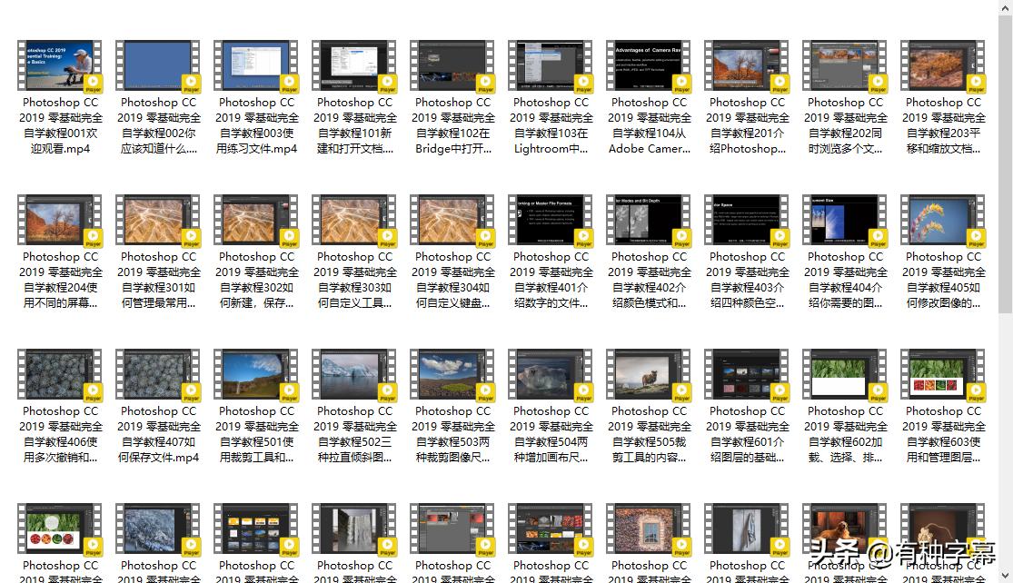 photoshopCC设计与应用案例教程,photoshopcc零基础入门教程