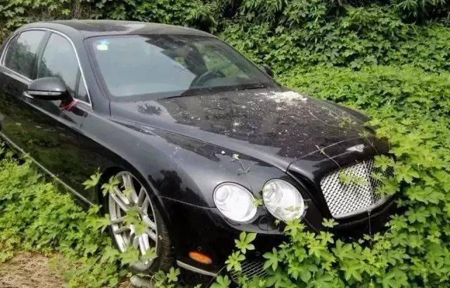 惊呆路人的超跑,震惊豪车