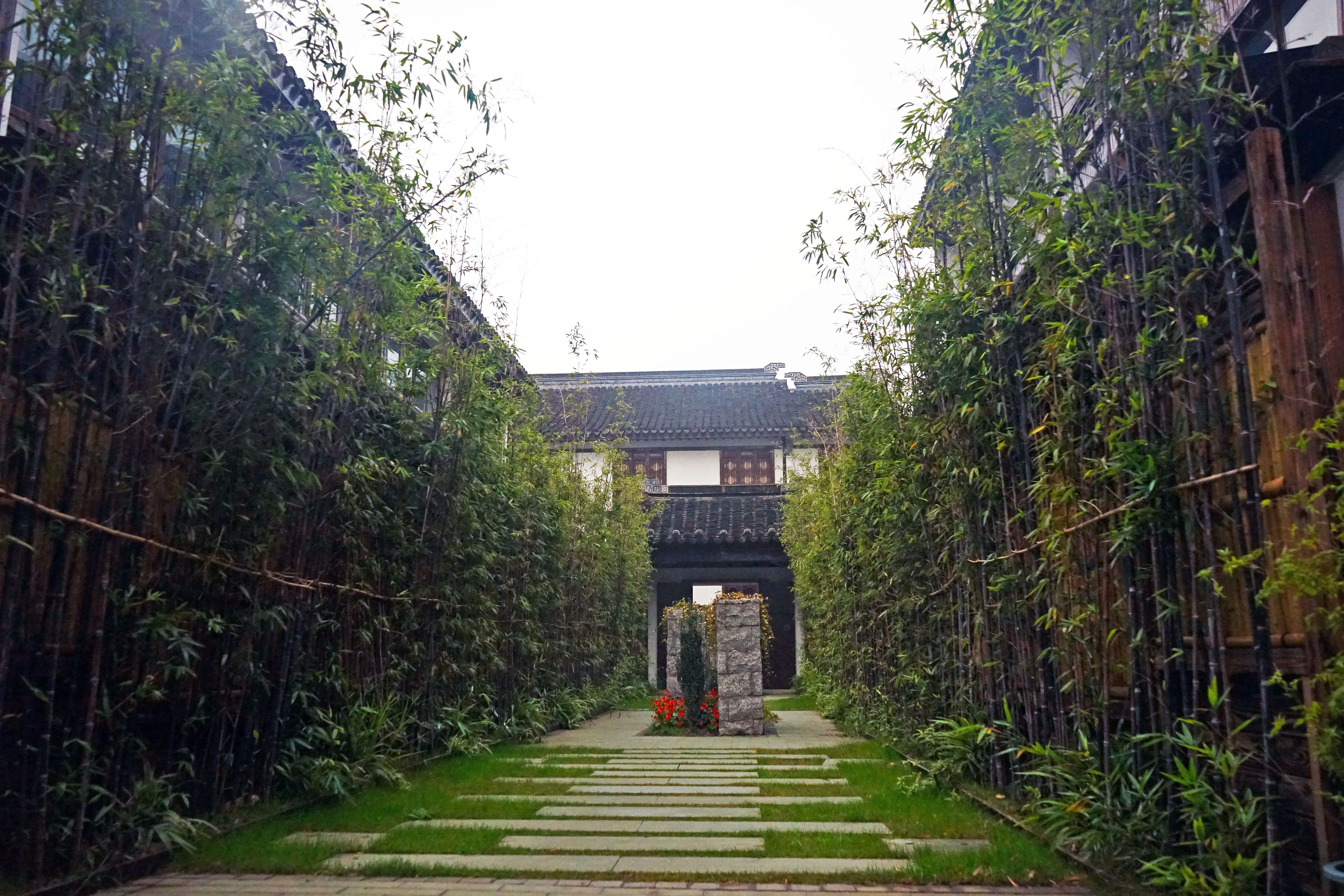 苏州是个温柔的地方,苏州人是个雅致的女人