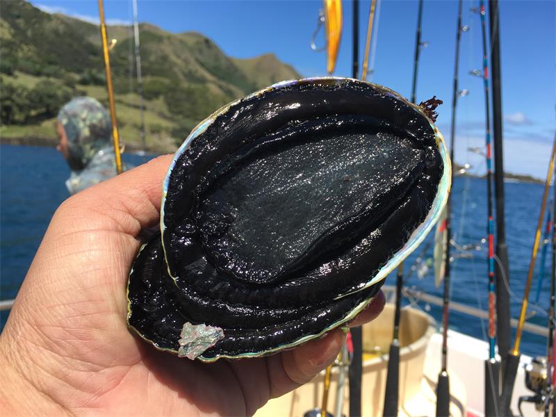 十年前,我只带了一根鱼竿出门,吃遍了世界上的各种顶级海鲜