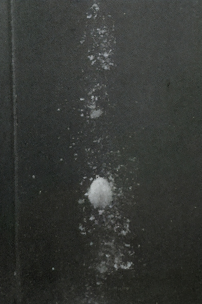 日本钓鲫鱼怎么调漂好,日本钓鲫鱼动作