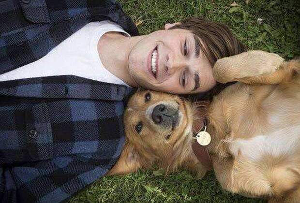 一分钟告诉你不要养金毛,养金毛一般都要注意些什么