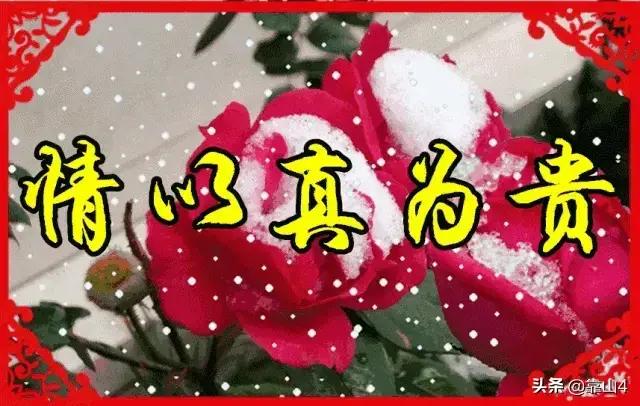 创业应注重经济效益,创业者如何平衡家庭与事业