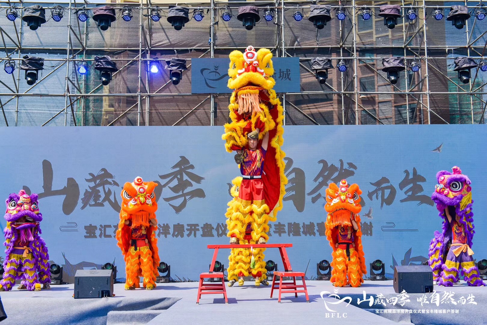 海南琼海公司开业舞狮表演多少钱？