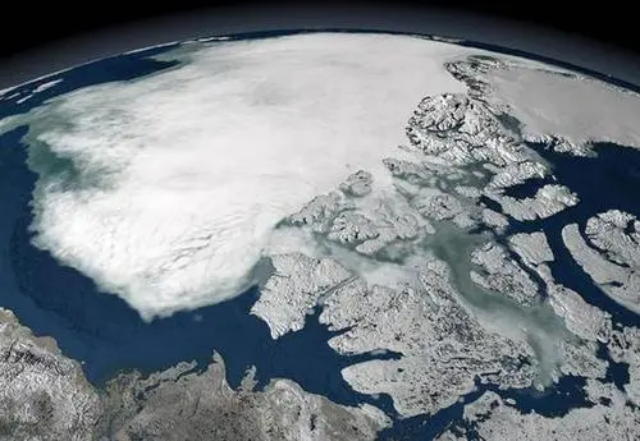 狮子发现的尸体,史前狮子尸体