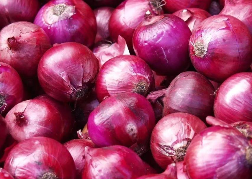 洋葱表皮发硬和表皮发软哪种新鲜,洋葱保存得最好最新鲜的方法