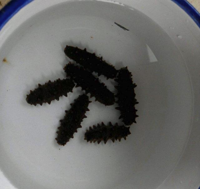 泡发好的海参怎么吃好吃又简单,怎样发海参才能吃起来好吃