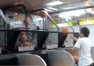 逗笑鑫仔真人照,搞笑视频鑫仔