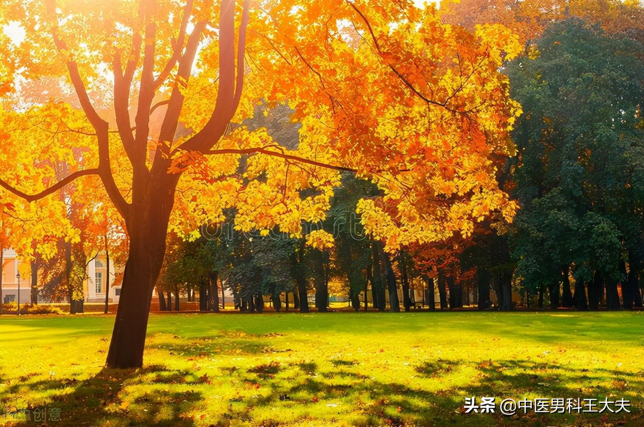 脉象弦细，记忆力差，睡眠不好，心肾阳虚型ED，中医该如何调理？