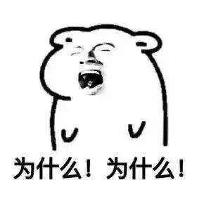 南通北城小学最新消息,南通北城小学和实验小学北校区