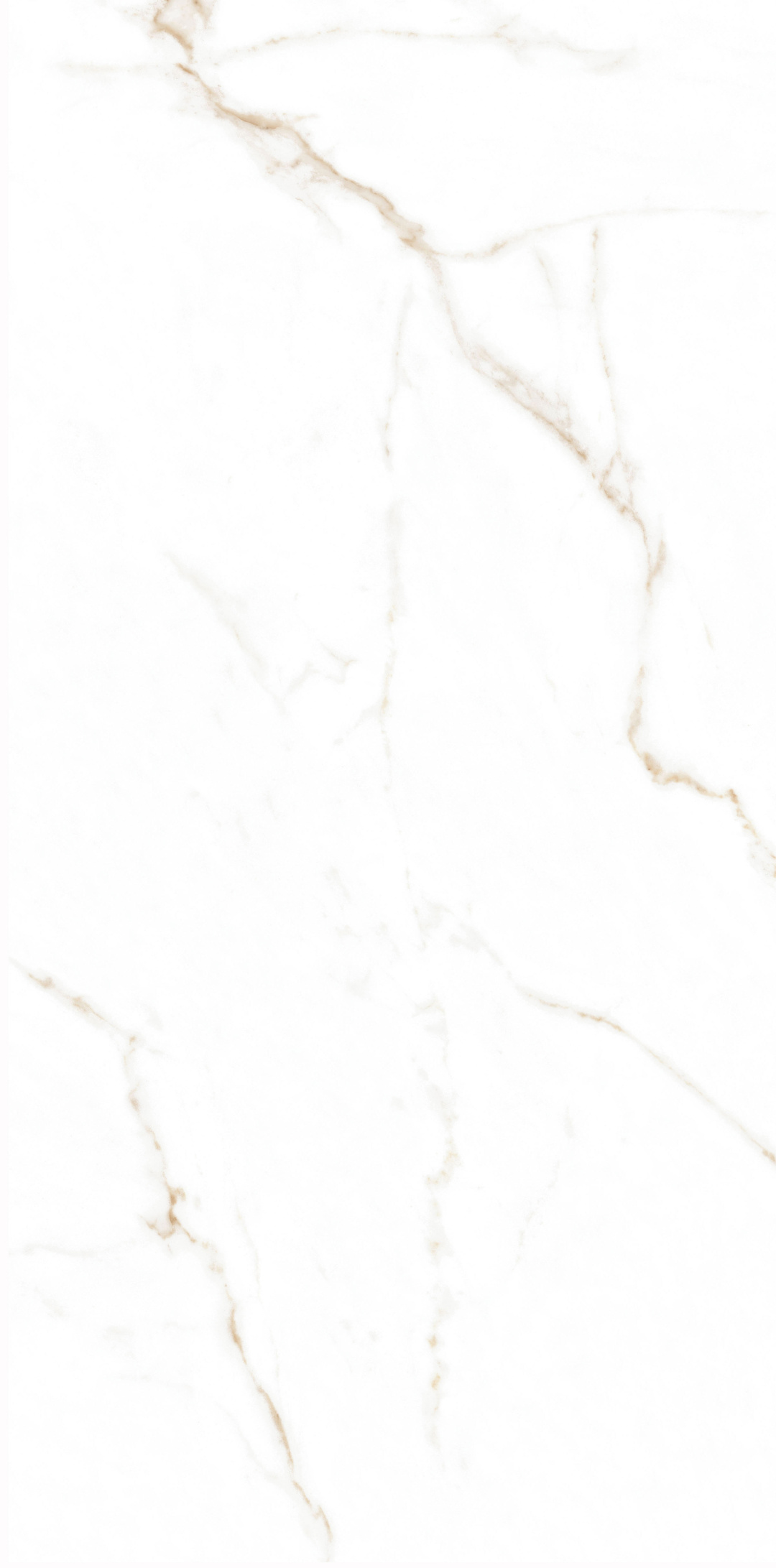 鍗撹繙鑷荤煶鍝佺浠嬬粛,鍗撹繙鑷荤煶浜氬厜