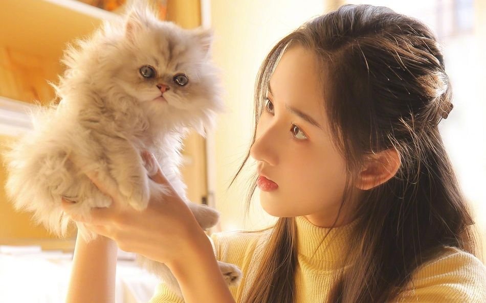 什么才叫追女生技巧和方法,分享几个实用的追女生技巧