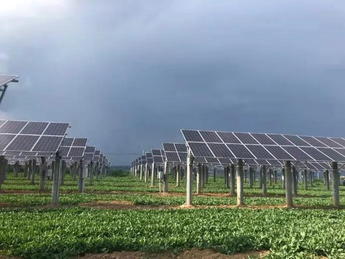 论光伏的危害,分析光伏电站的弊端