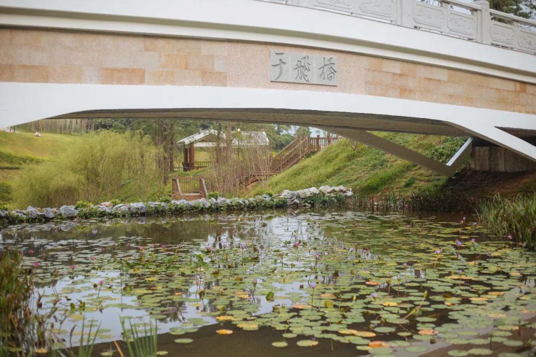 簕竹杜鹃谷公园,好看的杜鹃谷公园