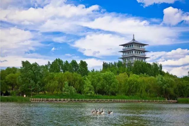 央视新闻直播珠江三角洲水资源,央视直播西安奥体中心