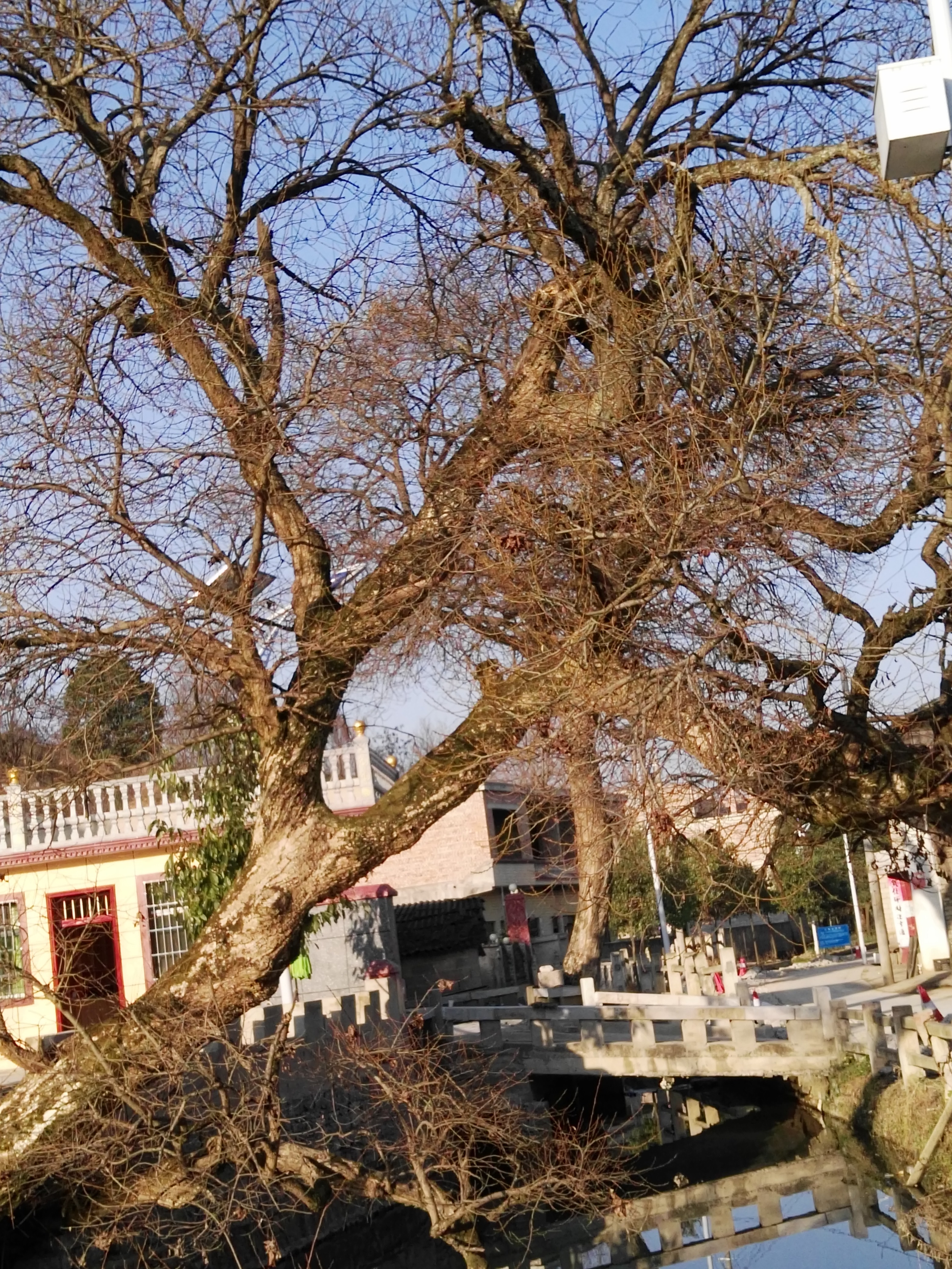 龙潭历史故事简介,旧州龙潭寨