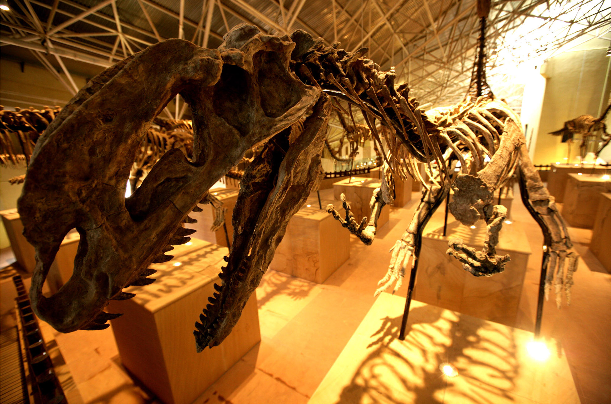 昆明休息放松,昆明市周边适合带孩子去的地方