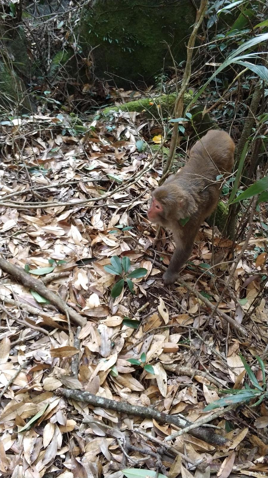 龙岩市旅游景区布局图,龙岩市旅游景区管理系统