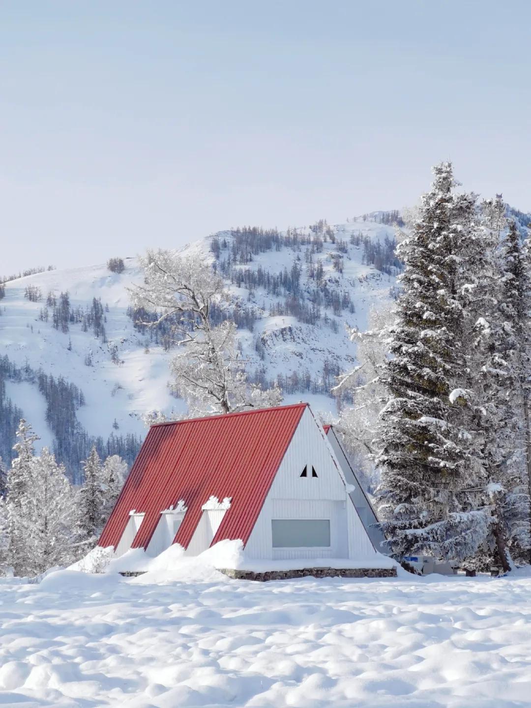 醒图appp图教程,好用的修图app教程