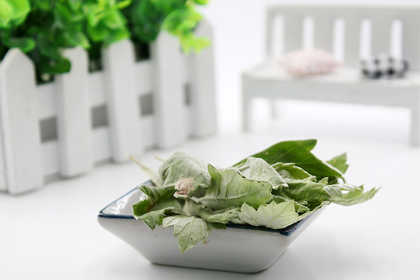 艾草还是艾叶好,家有三年艾郎不用来什么意思