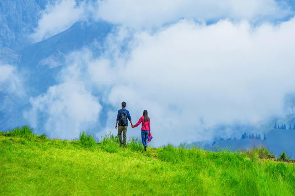 丁克结婚和恋爱的区别,丁克家庭使婚姻生活更加独立