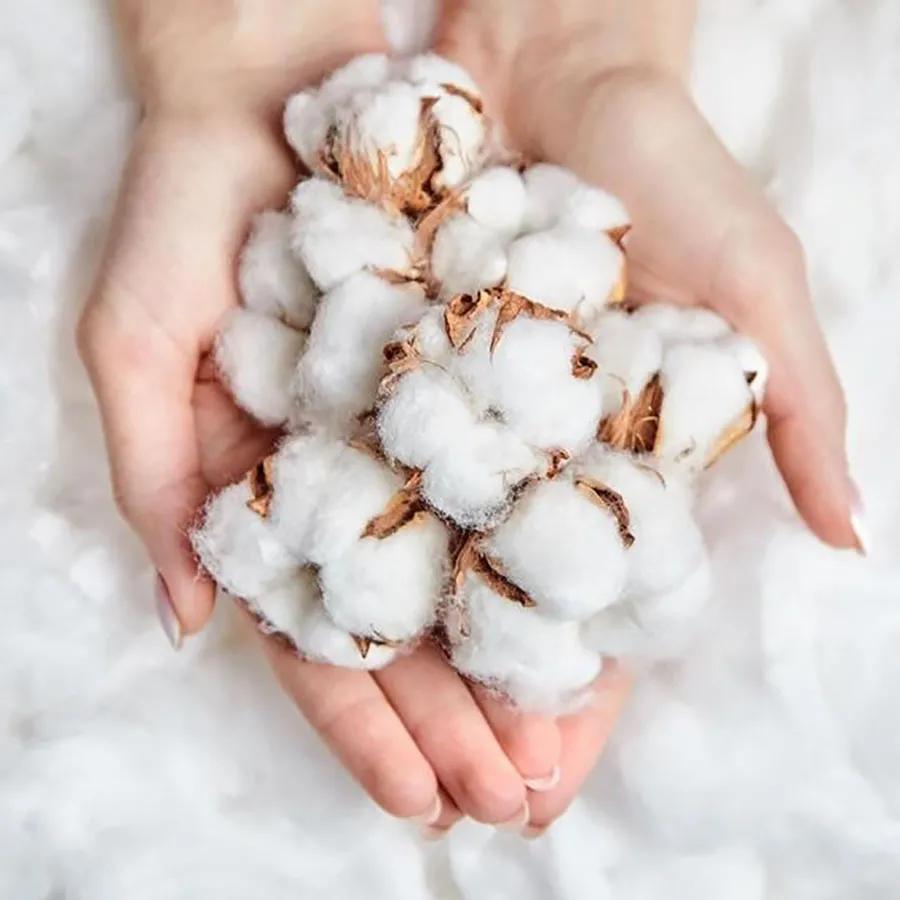 枕头选择什么不踩坑,颈椎不好睡硬枕头好还是软枕头好