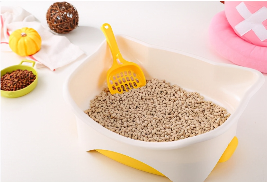 养猫攻略16件养猫好物推荐,养猫必备攻略