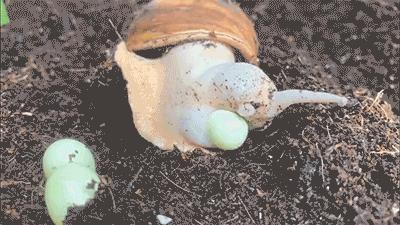 愚人节防套路指南搞笑,每日一笑那些笑疯的神操作