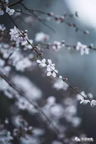 治疗癌症的靶向药指什么,治疗癌症的诊疗规范