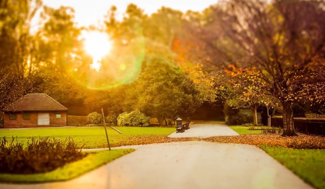 厚道之人必有后福全文,厚道之人必有厚福踏实做事