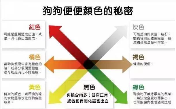 为什么狗狗便便后后腿蹬地,为什么狗狗排便前喜欢转圈圈