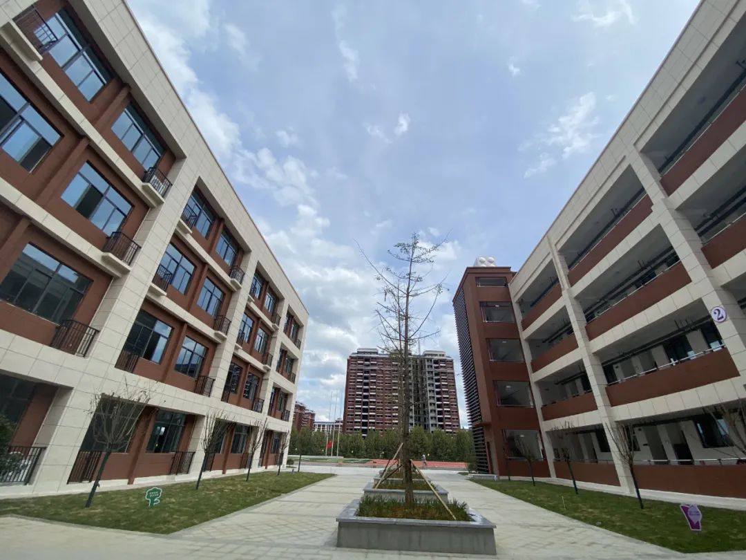 新蒲的学校,新蒲新区附近有什么学校