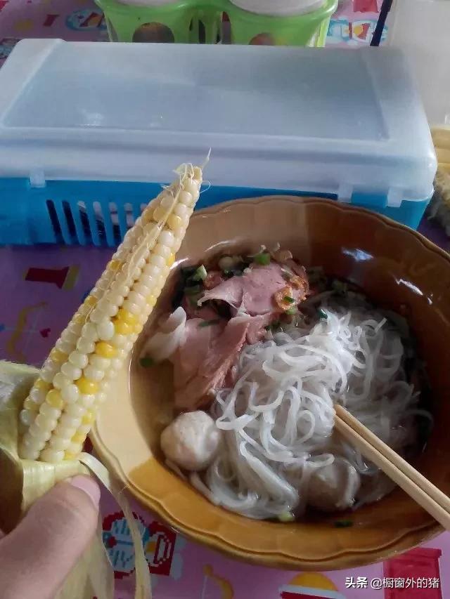 泰北玫瑰的英文,泰北玫瑰图片