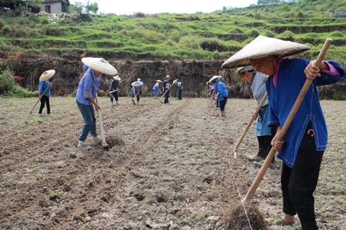 农民靠种地可以做什么工作,回家种地做什么副业好赚钱