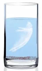 瑜伽冥想静心禅修,瑜伽冥想感受生命的渺小