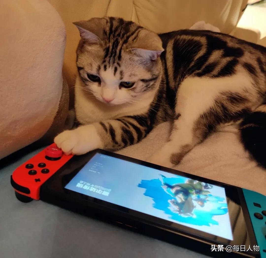 一千块买口罩,三千块买睡衣,疫情期间的女性账本