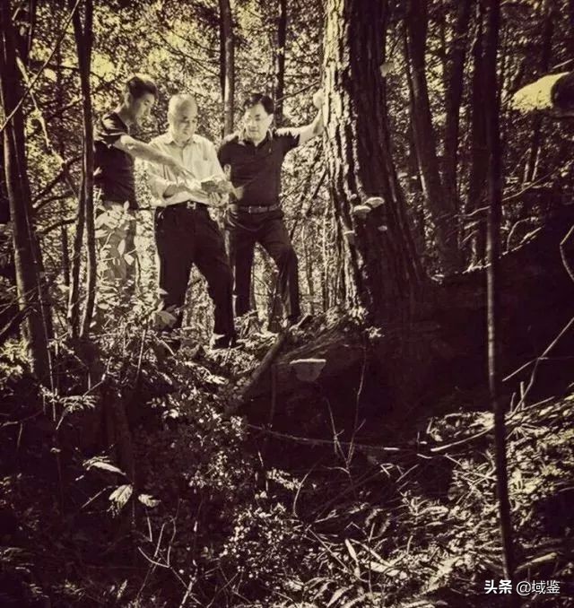 瓷器生产过程,瓷器七十二道工序