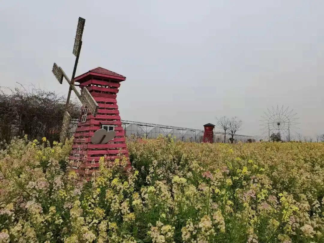 汉川5天周边游攻略,汉川徒步旅游攻略一日游