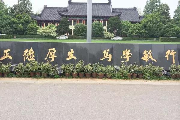 女排11连胜新闻联播,南师大排球比赛直播回放