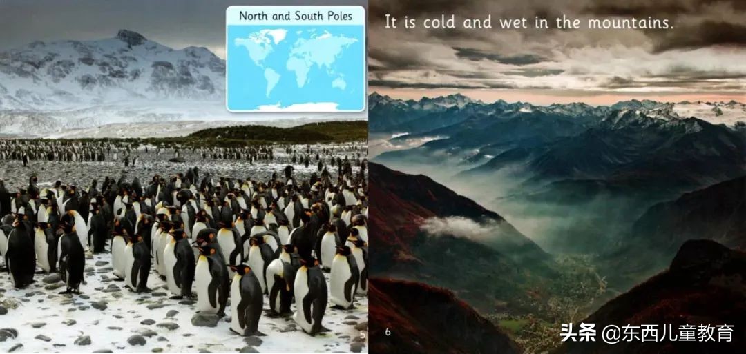 如果2-8岁孩子急需英语启蒙阅读，选分级王者《大猫》绝对没错