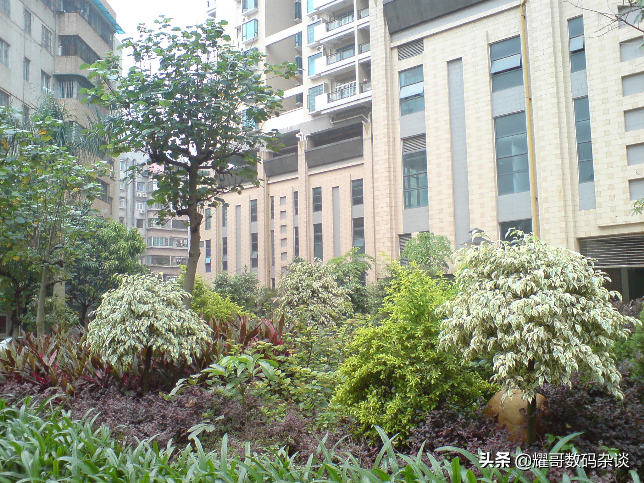 索尼爱立信w800手机拍照,索尼爱立信k800i拍照