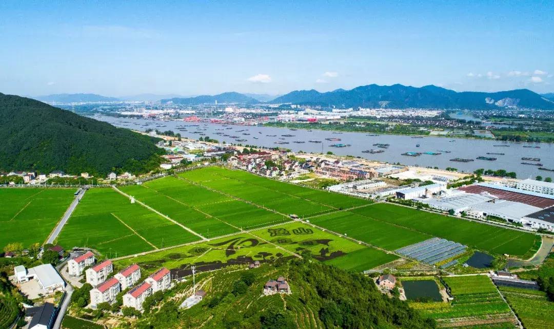 震撼!钱塘江畔出现巨型画作,有28个足球场这么大!