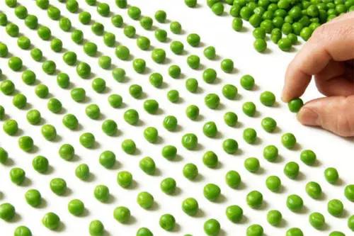 蹇冪悊鍖荤敓璧甸箯,璧甸箯涓讳换娌荤枟鐨勭簿绁炵梾