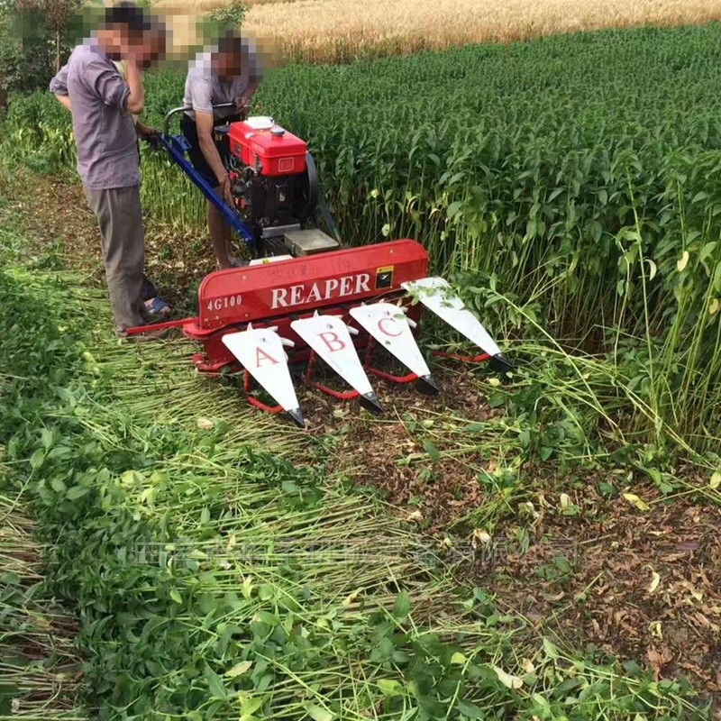 免费农村投资办厂代加工,适合农村创业的四个项目