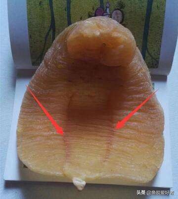 为什么鱼胶要那么贵,顶级鱼胶为什么那么贵