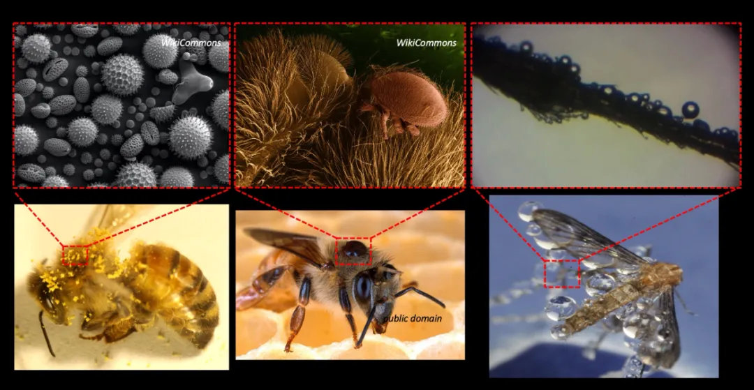 孩子膀胱容量130,儿童最大膀胱容量197正常吗