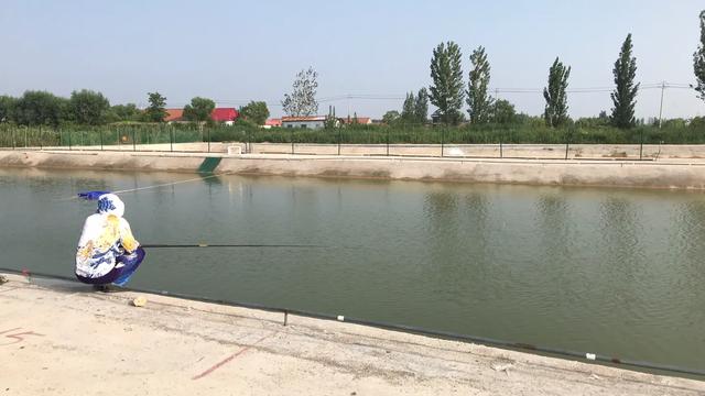 黑坑最好的解决办法,黑坑肥水塘钓鱼技巧