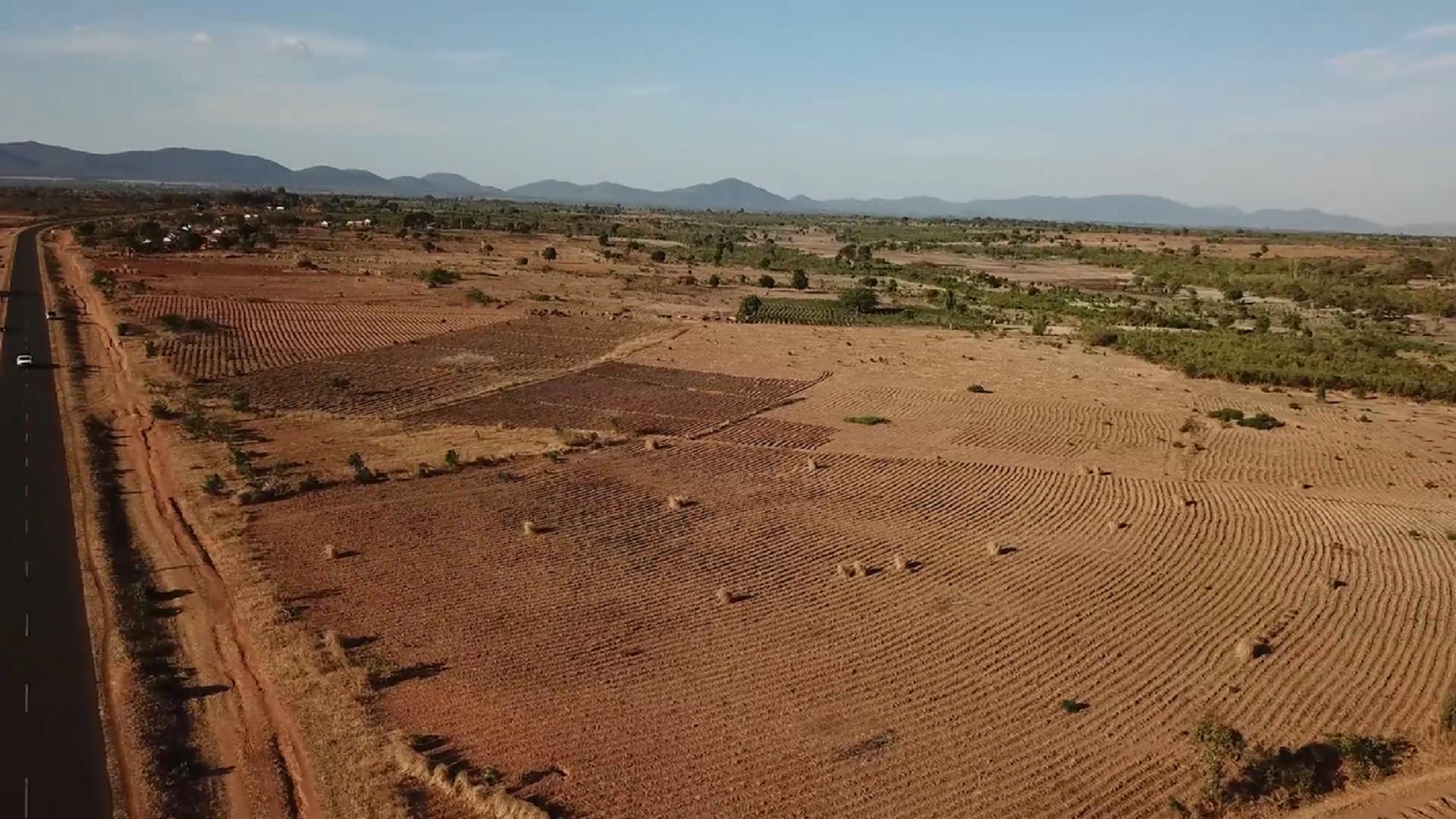 真实航拍非洲最穷国家，大片耕地牛羊成群，和想象的非洲完全不同